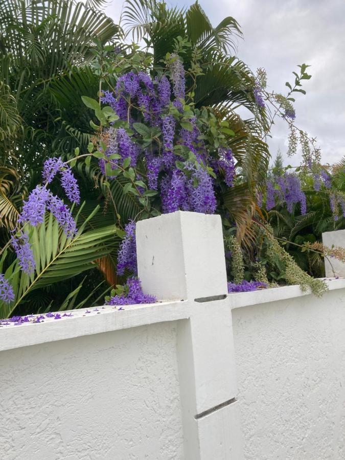 Les Nuits Galantes Mandevilla Maison Privee Avec Jacuzzi Saint-Francois  Esterno foto